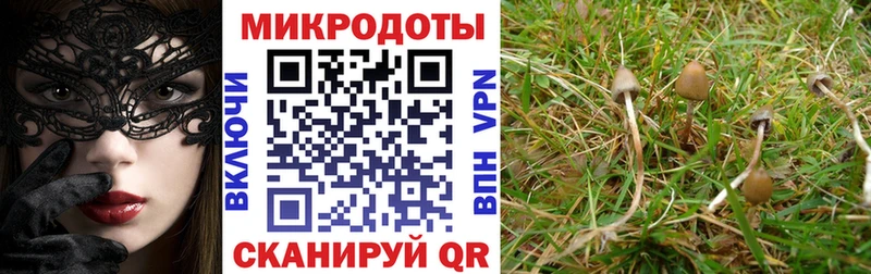 Галлюциногенные грибы Psilocybe  hydra зеркало  Малоархангельск 